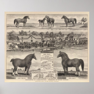 Residence of James Potter, Junction City, Kansas Poster