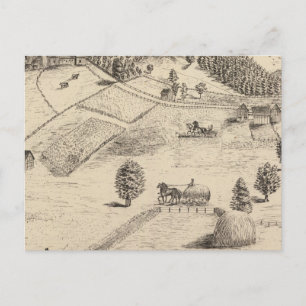 Residences and farm in New Haven Postcard