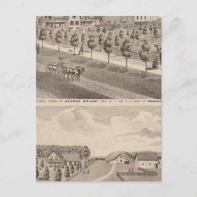 Residences and Farm, Minnesota Postcard (Front)
