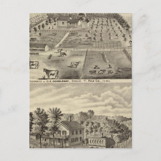 Residences and office, Douglas Tp Postcard (Front)