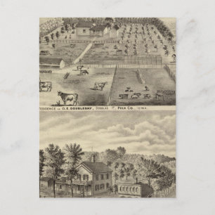 Residences and office, Douglas Tp Postcard