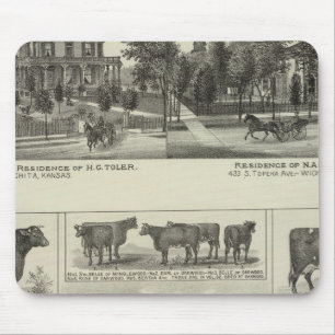 Residences and Stock Farm, Wichita, Kansas Mouse Pad