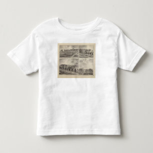Residences and Stores in Zumbrota and Norway Toddler T-Shirt
