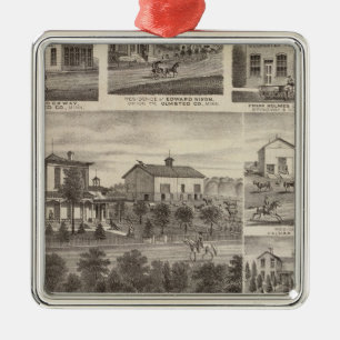 Residences, businesses, and Town of Eyota Metal Ornament