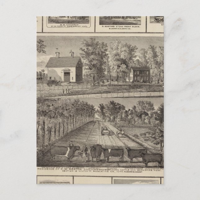 Residences & businesses in Muscatine Postcard (Front)