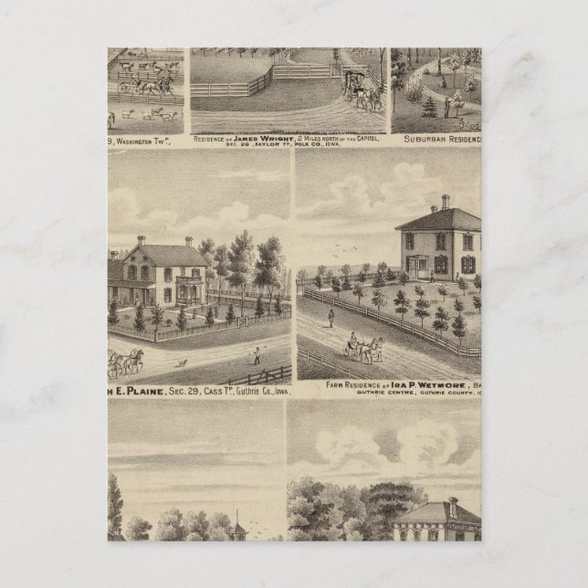 Residences, farms in Polk Postcard (Front)