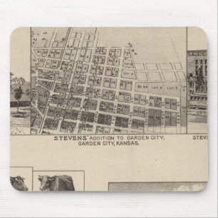 Residences in Kansas Mouse Pad