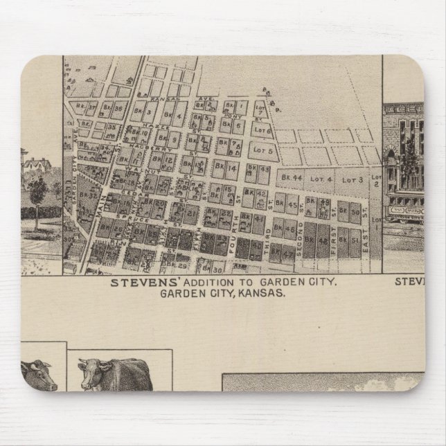 Residences in Kansas Mouse Pad (Front)