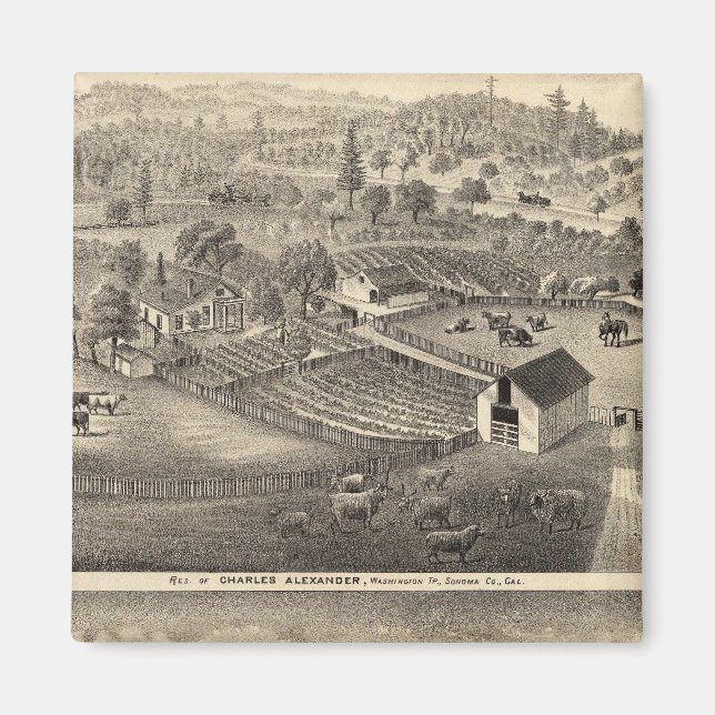 Residences of Charles Alexander Magnet (Front)