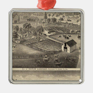 Residences of Charles Alexander Metal Ornament