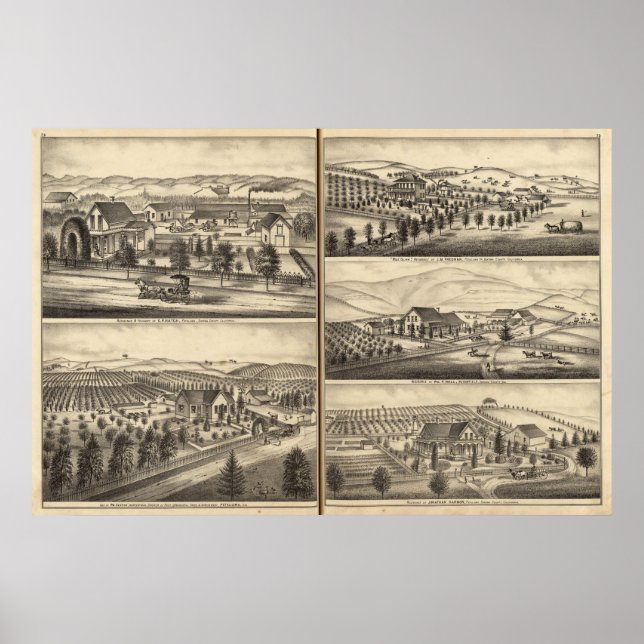 Residences of CP Hatch, Wm Sexton, JM Freeman Poster (Front)