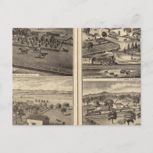 Residences of Robert Crane, EL Davis Postcard