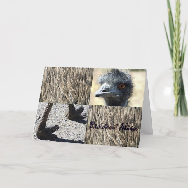 Resident Alien Card (Front)