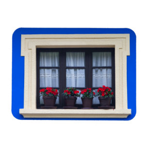 Residential housing with flowers in windows magnet