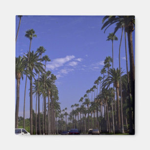 Residential Rodeo Drive, Beverly Hills, California Magnet