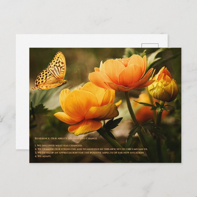 Resilience Postcard (Front/Back)