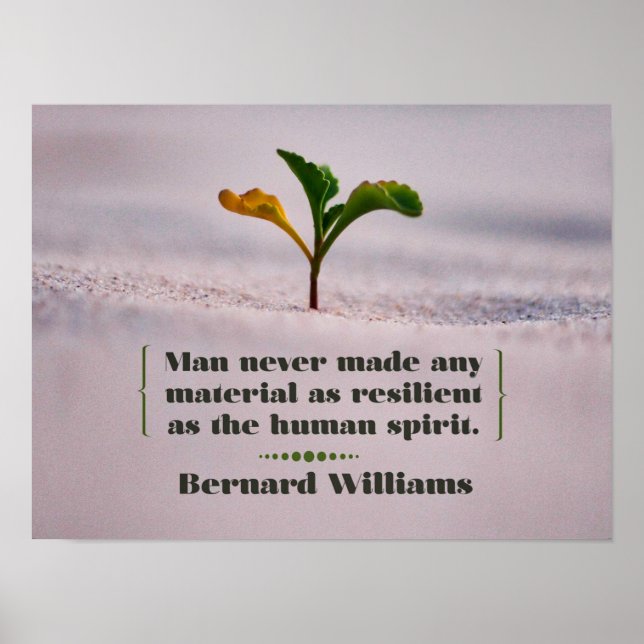 Resilient as the Human Spirit Poster (Front)