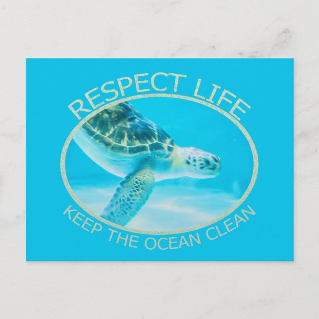 Respect Life, Keep the Ocean Clean Invitation Postcard (Front)
