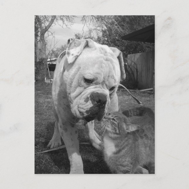 respect postcard (Front)