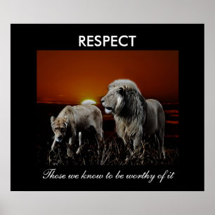 Respect Poster