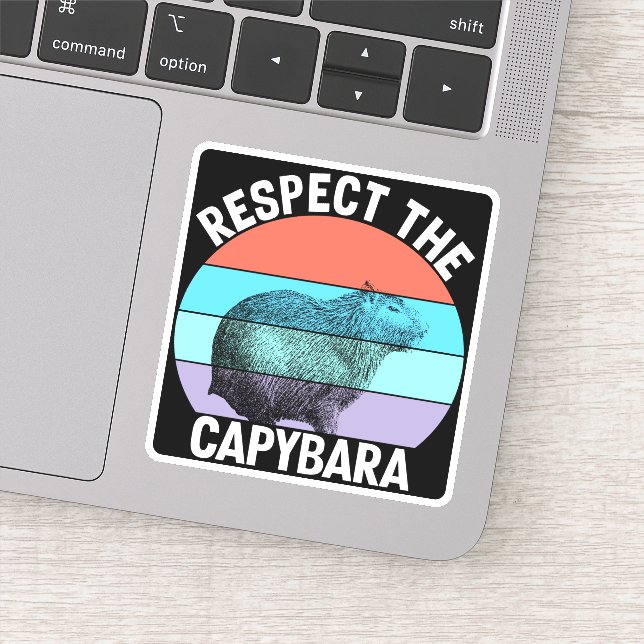 Respect The Capybara Funny Capybara Lover (Detail)
