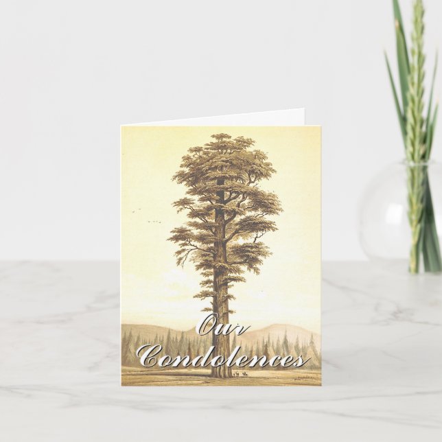 Respectable & Elegant "Our Condolences…" Card (Front)