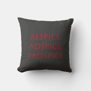 Respice adspice prospice cushion
