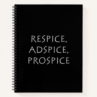 Respice adspice prospice notebook