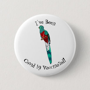 Resplendent quetzal bird cartoon illustration 6 cm round badge