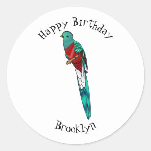 Resplendent quetzal bird cartoon illustration classic round sticker