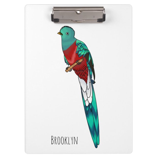 Resplendent quetzal bird cartoon illustration  clipboard (Front)