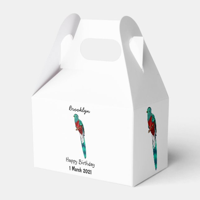 Resplendent quetzal bird cartoon illustration favour box (Front Side)