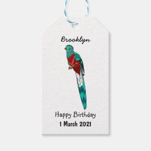 Resplendent quetzal bird cartoon illustration gift tags