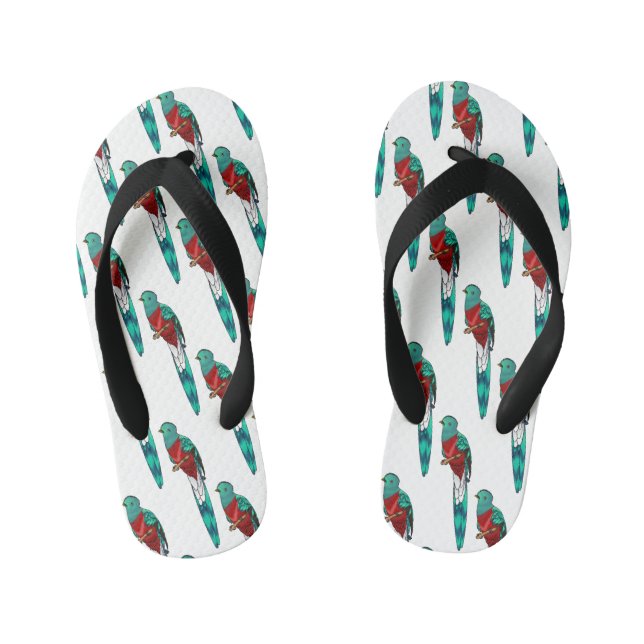 Resplendent quetzal bird cartoon illustration  kid's thongs (Footbed)