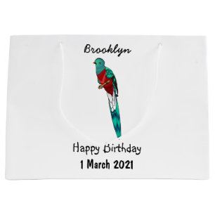Resplendent quetzal bird cartoon illustration large gift bag