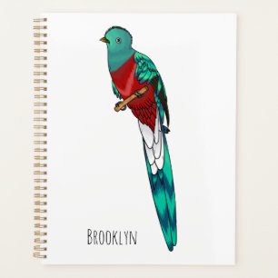 Resplendent quetzal bird cartoon illustration planner