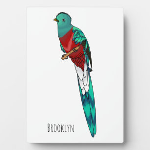 Resplendent quetzal bird cartoon illustration  plaque