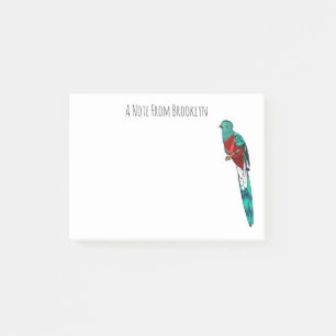 Resplendent quetzal bird cartoon illustration  post-it notes