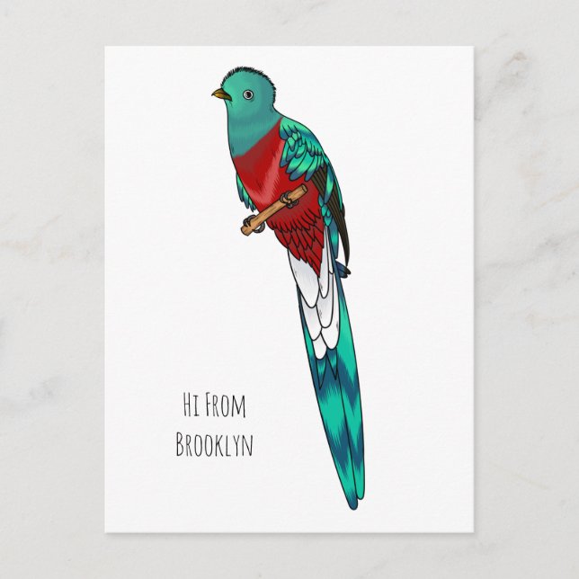 Resplendent quetzal bird cartoon illustration  postcard (Front)