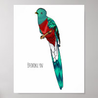 Resplendent quetzal bird cartoon illustration