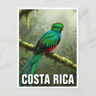 Resplendent Quetzal Monteverde cloud forest Postcard