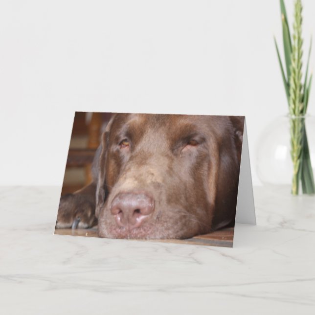 Rest and get well card (Front)