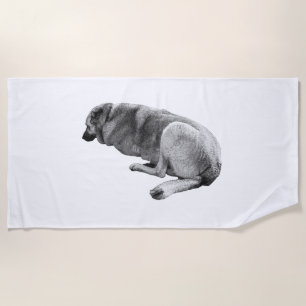 Rest Carries Anywhere Beach Towel