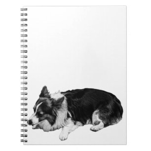 rest notes calm, corgi notebook