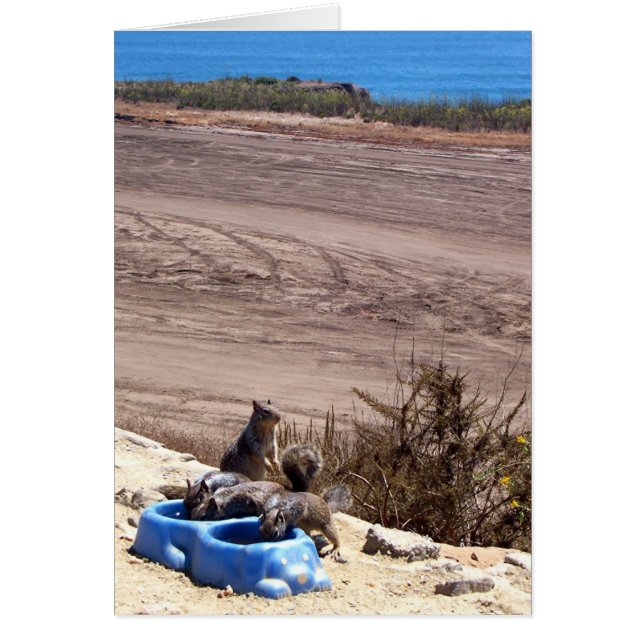 Rest Stop - Card (Front)