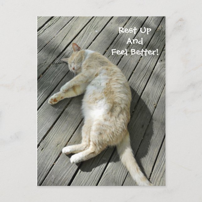 Rest Up Feel Better Cute Cat Get Well Custom Postcard (Front)