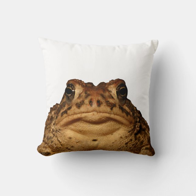 Rest with a toad! cushion (Front)