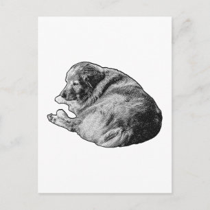 Restful Dot Dog Delivers Soft Seasonal Greetings Postcard