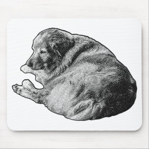 Restful Dot Dog Inspires Calm at Winter Workspaces Mouse Pad