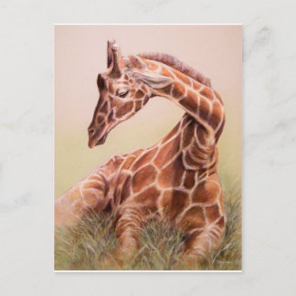 Restful Joy by Julie Lemons.jpg Postcard